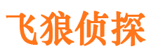 恩施飞狼私家侦探公司